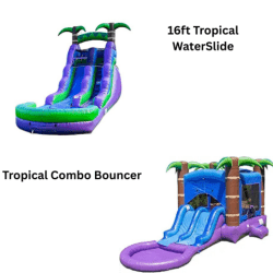 2 N 1 Tropical Bouncer and Slide