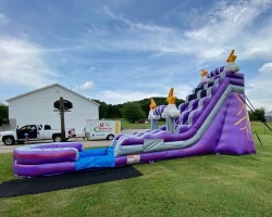 purple thunder water slide 6 1767630294 19ft Purple Thunder Water Slide