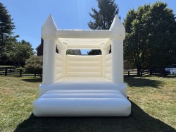 Photo20Aug203020202520122047200120PM 1772125092 14x14 white castle