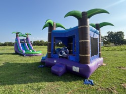 Photo20Aug20152020252092029202920AM 1772568277 Tropical Bouncer