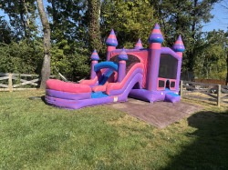 princess201 1772565929 Princess Palace Combo